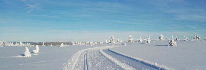 Ti på topp vinter Innlandet